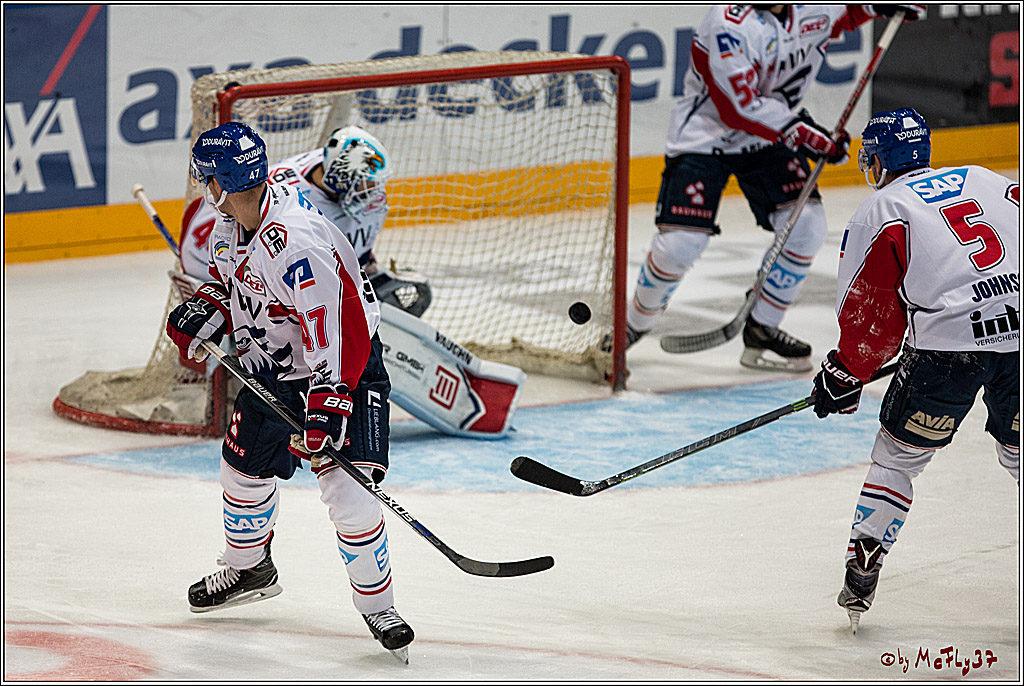 Koelner Haie - Adler Mannheim, 30.10.2016